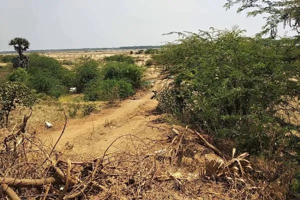 SAND TRICHY